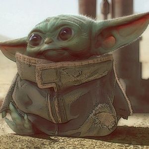 Meet your Posher, Allie